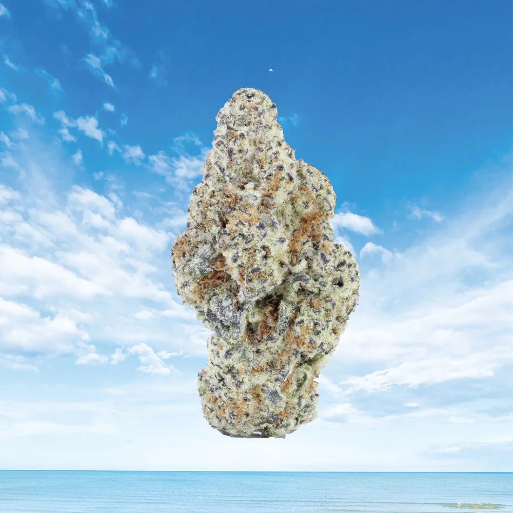 URB First Class Exotic THCA Flower – AAA Indoor Top-Shelf Buds First Class Exotic THCA Flower – URB First Class Exotic THCA Flower – AAA Indoor Top-Shelf Buds